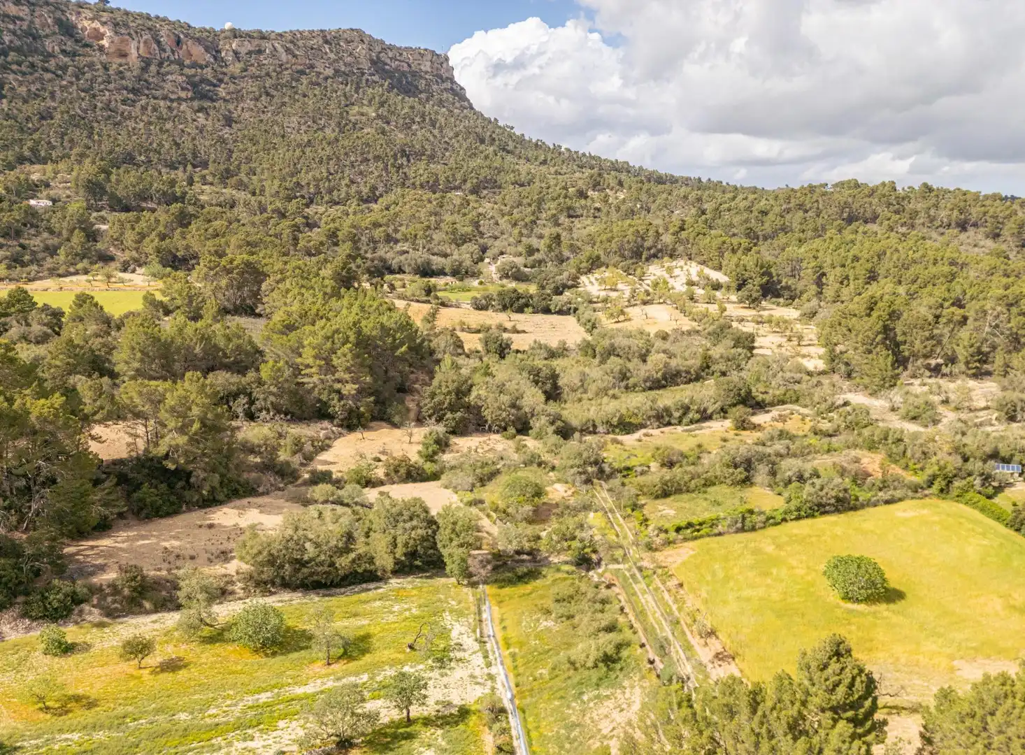 Terreno rustico in vendita a Llucmajor pueblo, imagen 7
