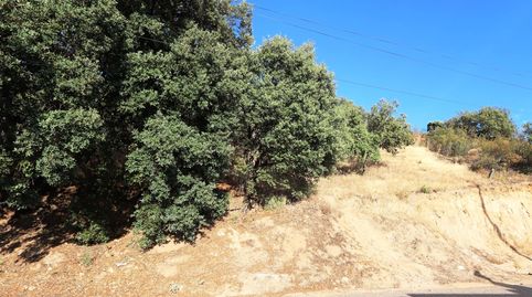 Parcela en Calalberche de 792 m2, situada en la zona alta.
Terreno con nivel ascendente y magnificas vistas a la sierra de Gredos