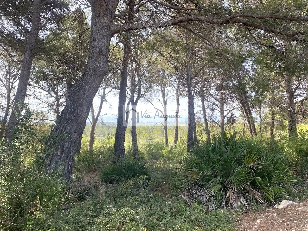 Finca rústica en venta en Vandellòs i l'Hospitalet de l'Infant con Terraza, Trastero y Piscina