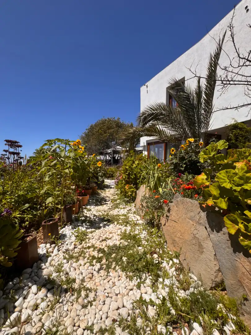 Jardín de Finca rústica en venta en Granadilla de Abona con Calefacción, Jardín privado y Parquet