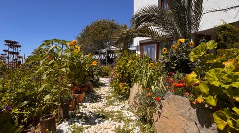 Foto 5 de Finca rústica en venda a Los Blanquitos, Santa Cruz de Tenerife