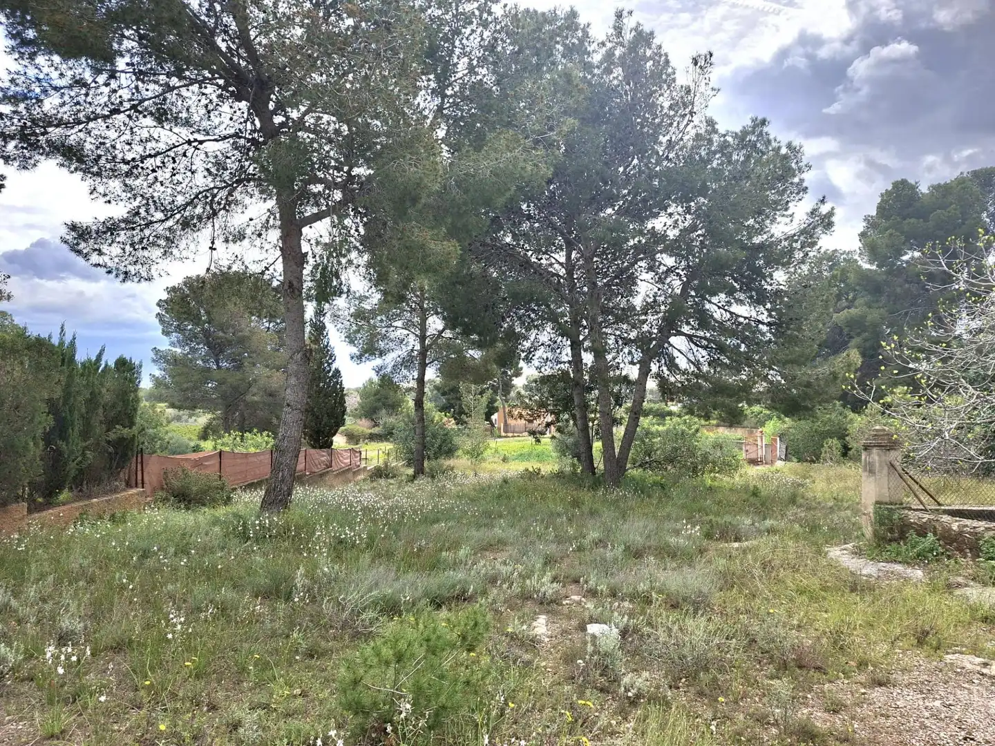 Terrain rustique à vendre à Camí de Paterna - Lloma del Calderer, imagen 3