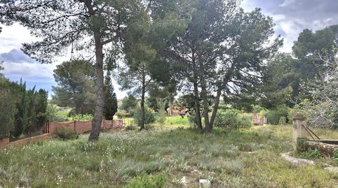 Foto 3 de Terreno en venta en Camí de Paterna - Lloma del Calderer, Bétera