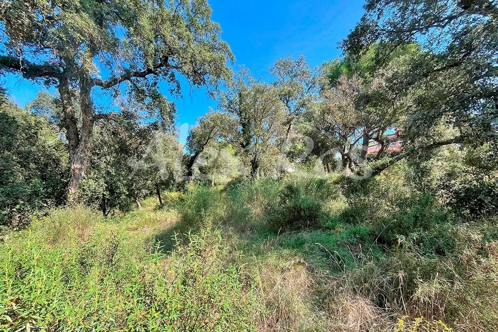 Rural land for sale in Mas Santet, imagen 9