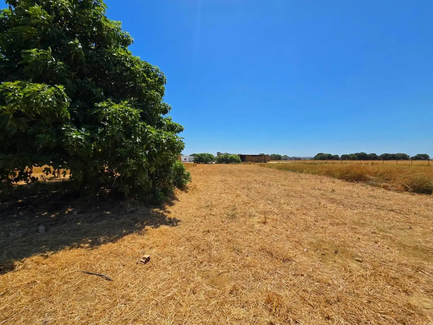 Terreno residenziale in vendita a Pelagatos - Pago del Humo, imagen 12