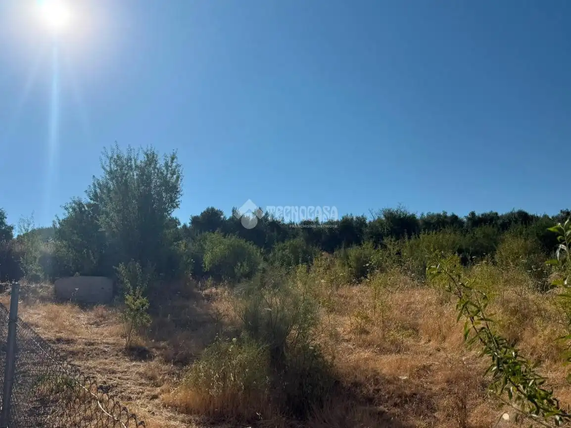 Terreni e lotti in vendita a Martos, imagen 2