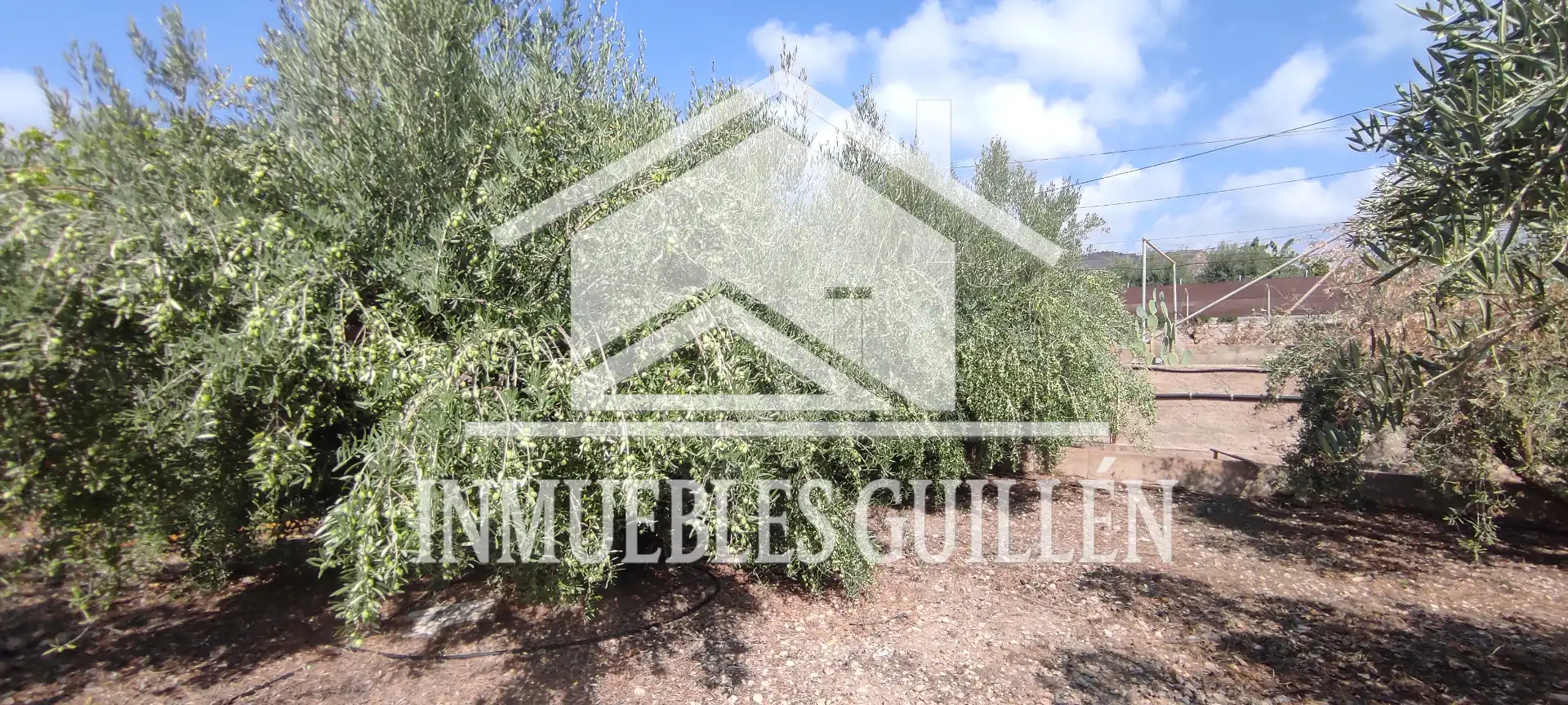 Casa o xalet en venda en Berja amb Aire condicionat, Jardí privat i Terrassa