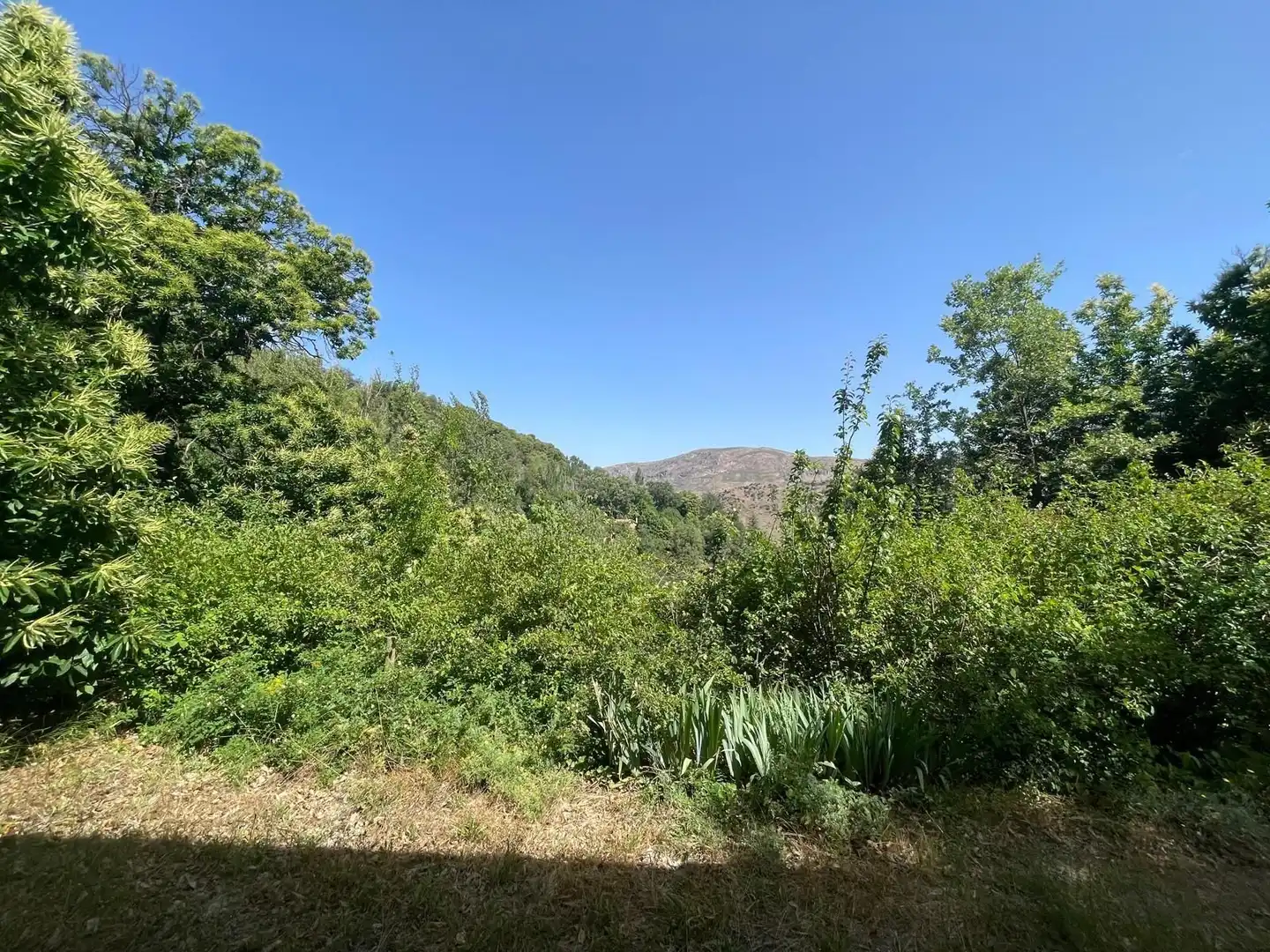 Casa amb jardí en venda a Güéjar Sierra, imagen 38