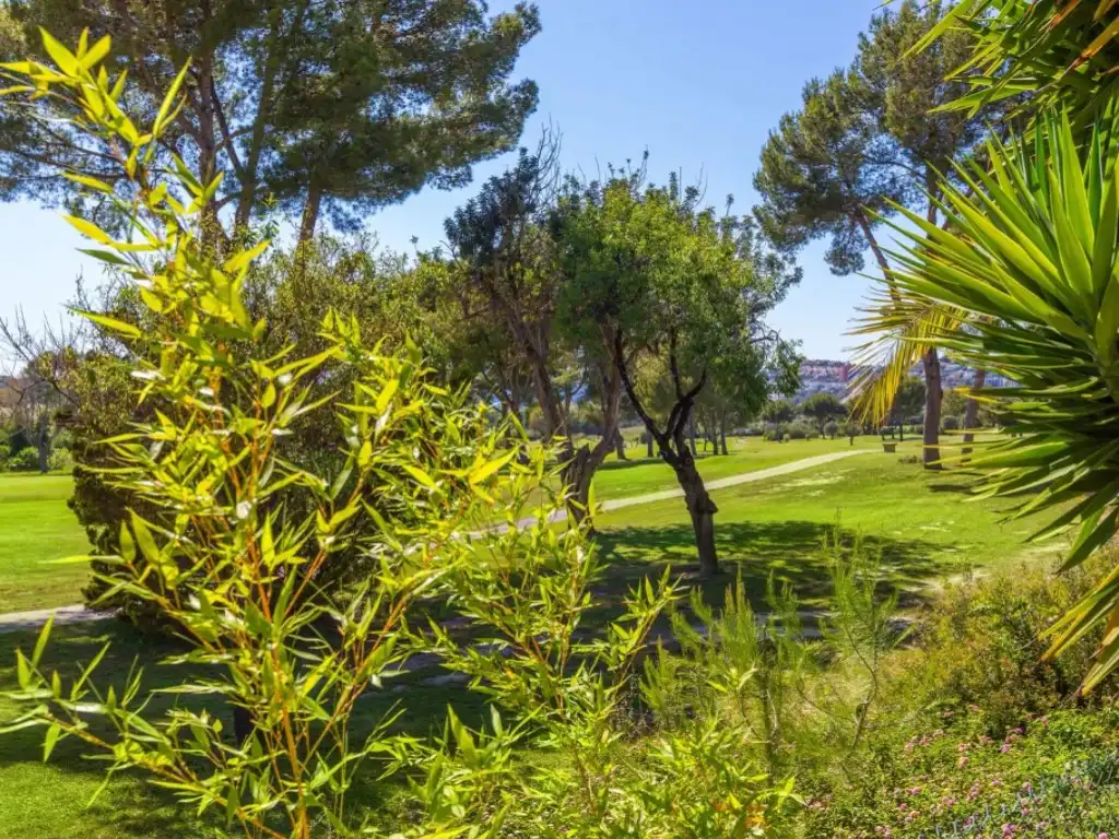 Piano terra con piscina in vendita a Santa Ponça, imagen 20