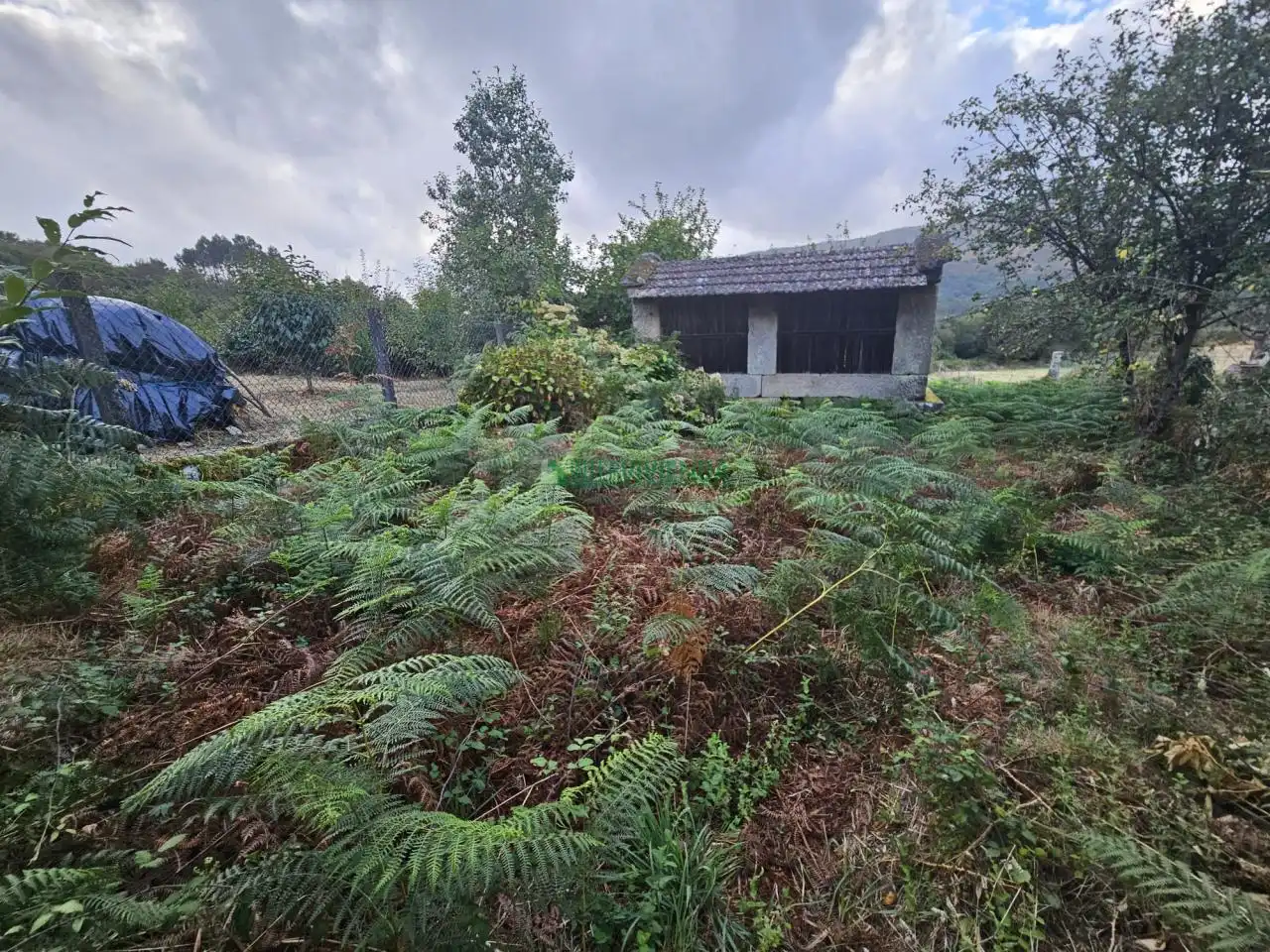 Casa amb jardí en venda a Covelo, imagen 8