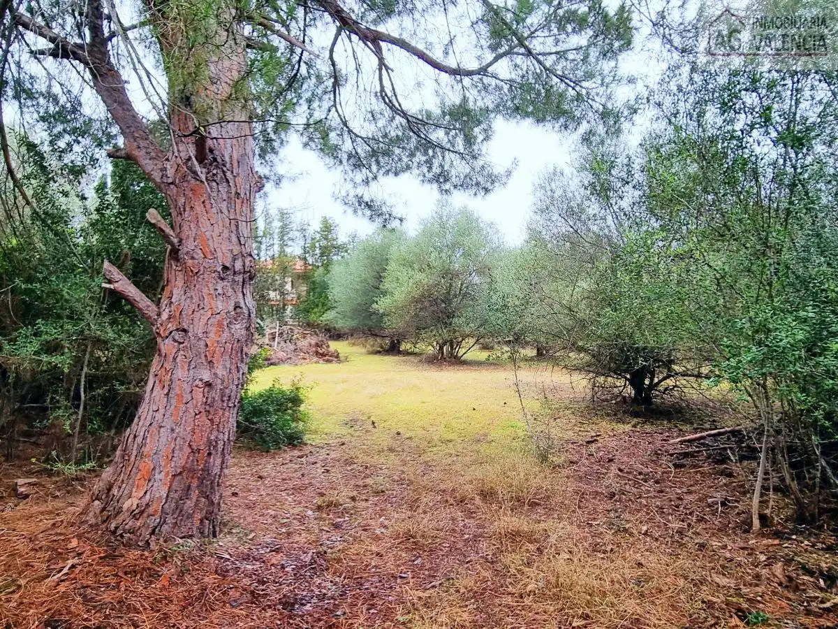 Casa o chalet en venta en Partida L´Alberca, Club de Tenis