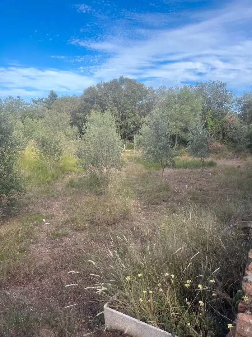 Terreno rustico in vendita a Almoster, imagen 5