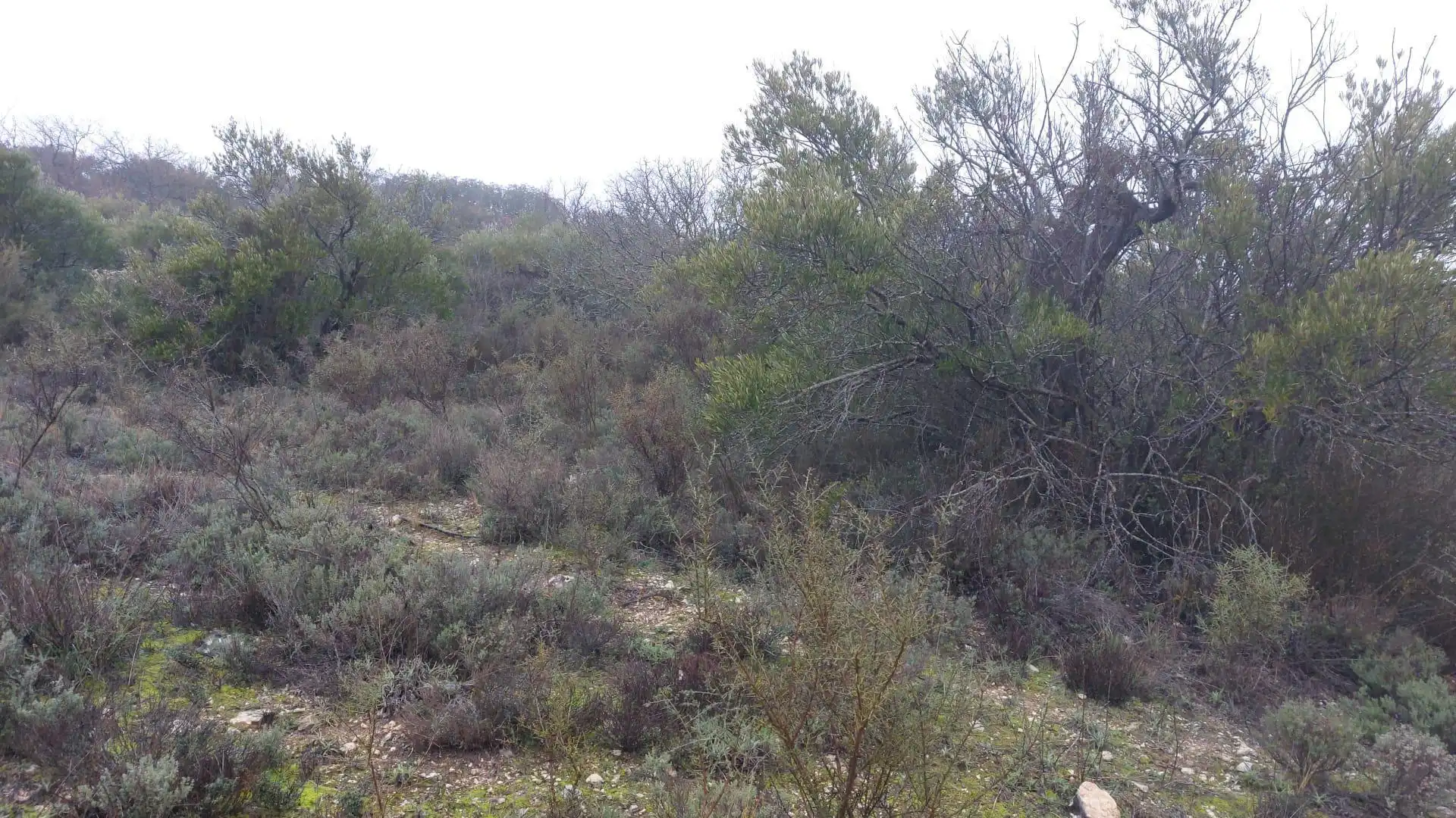 Grundstücke zur Miete in Loranca de Tajuña