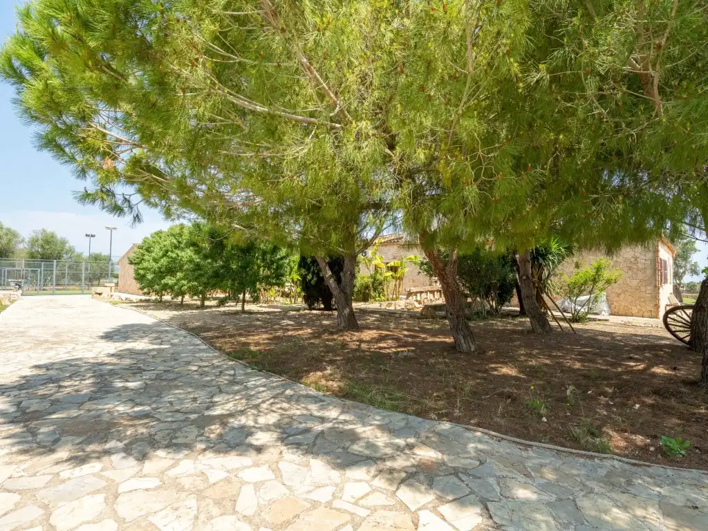 Villa con terrazza in vendita a Santa Margalida Poble, imagen 9