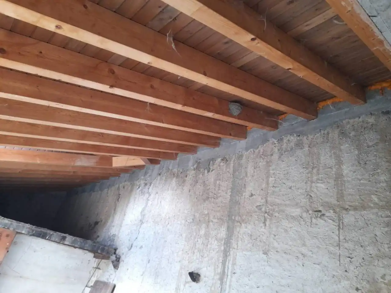 Casa rústica amb jardí en venda a Latour - de - Carol, imagen 87