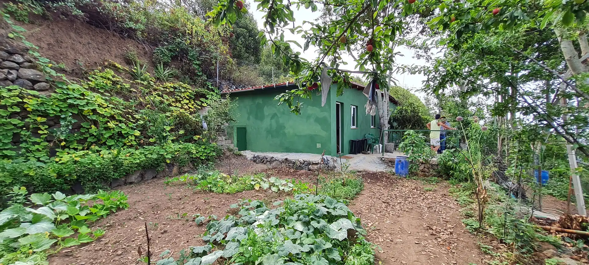 Finca rústica en venda a Icod de los Vinos pueblo