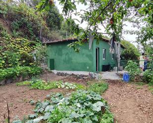 Garden of Country house for sale in Garachico