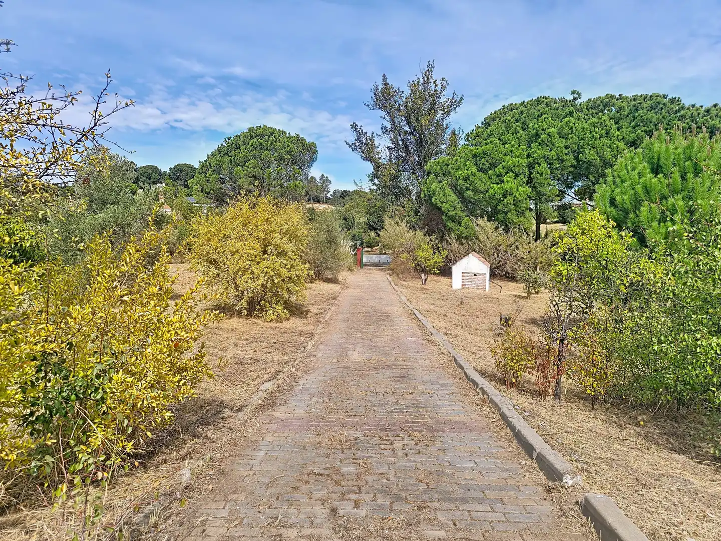 Casa rústica con piscina en venta en Gibraleón, imagen 31