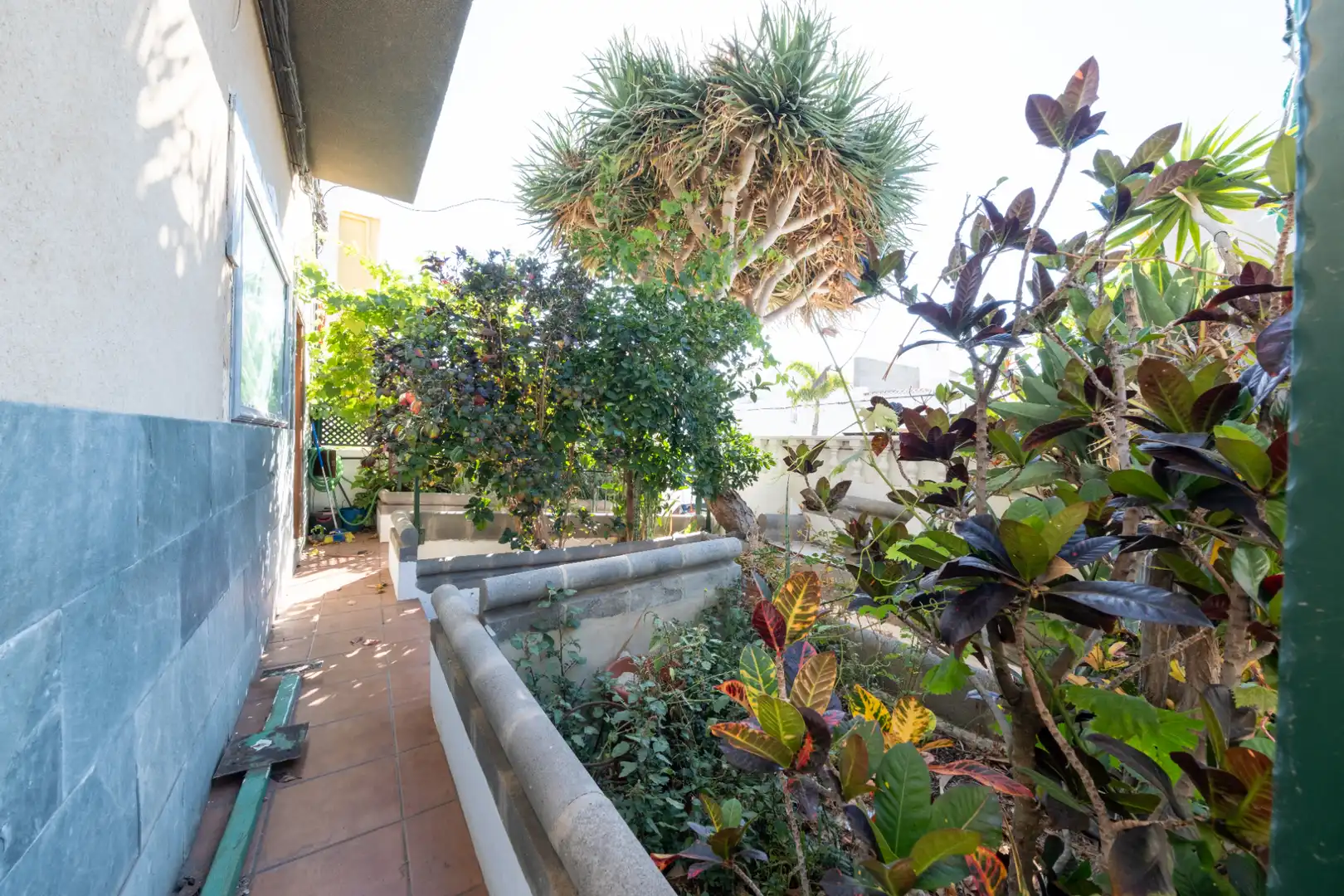 Terrassa de Casa o xalet en venda en Ingenio amb Jardí privat i Balcó