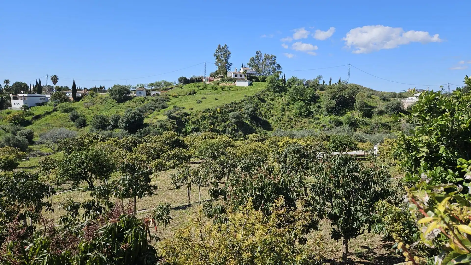 Terreno residencial en venta en Mijas pueblo, imagen 12