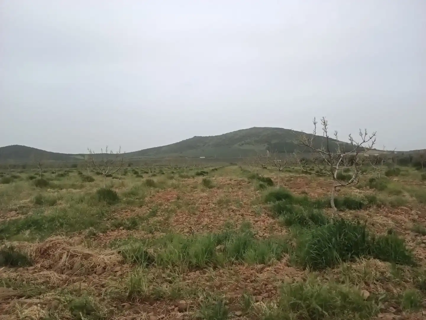 Casa rústica en venda a Fuente el Fresno, imagen 5