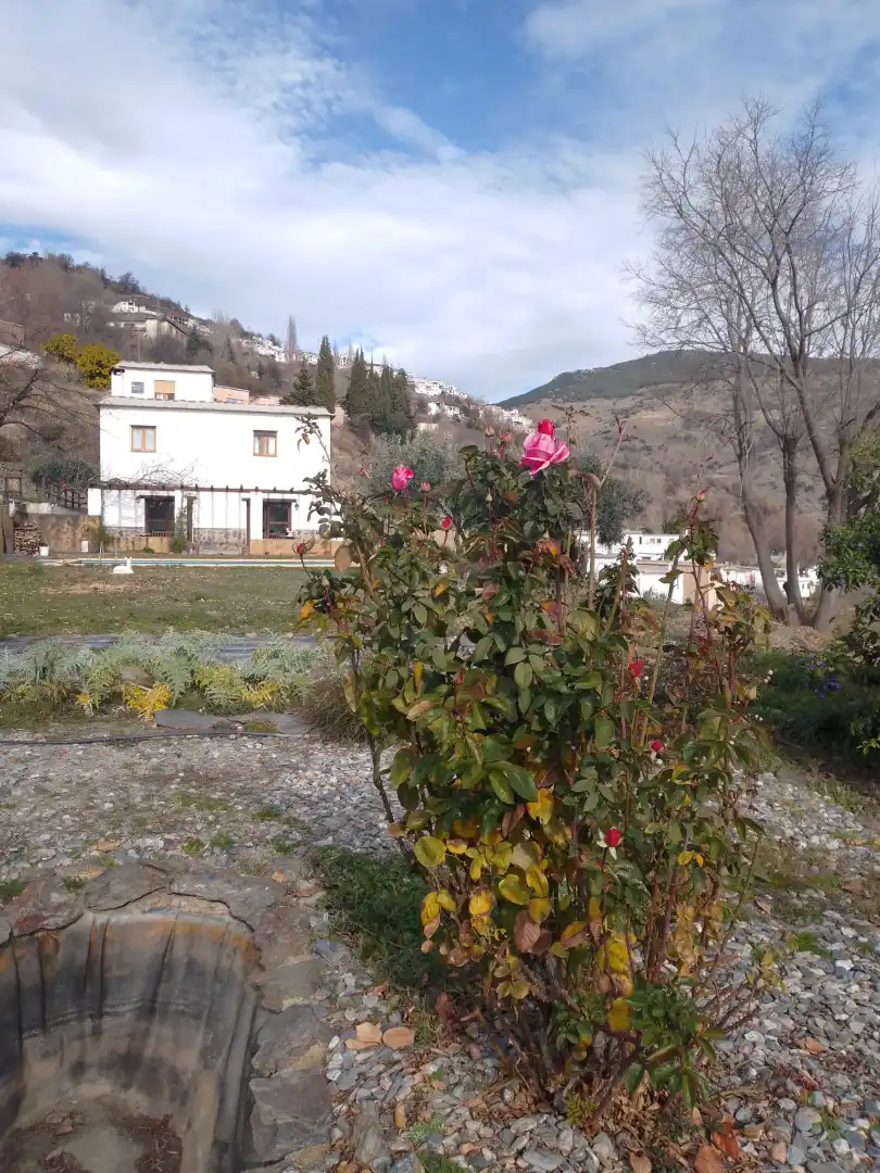Chalet con terraza en venta en Bérchules, imagen 67
