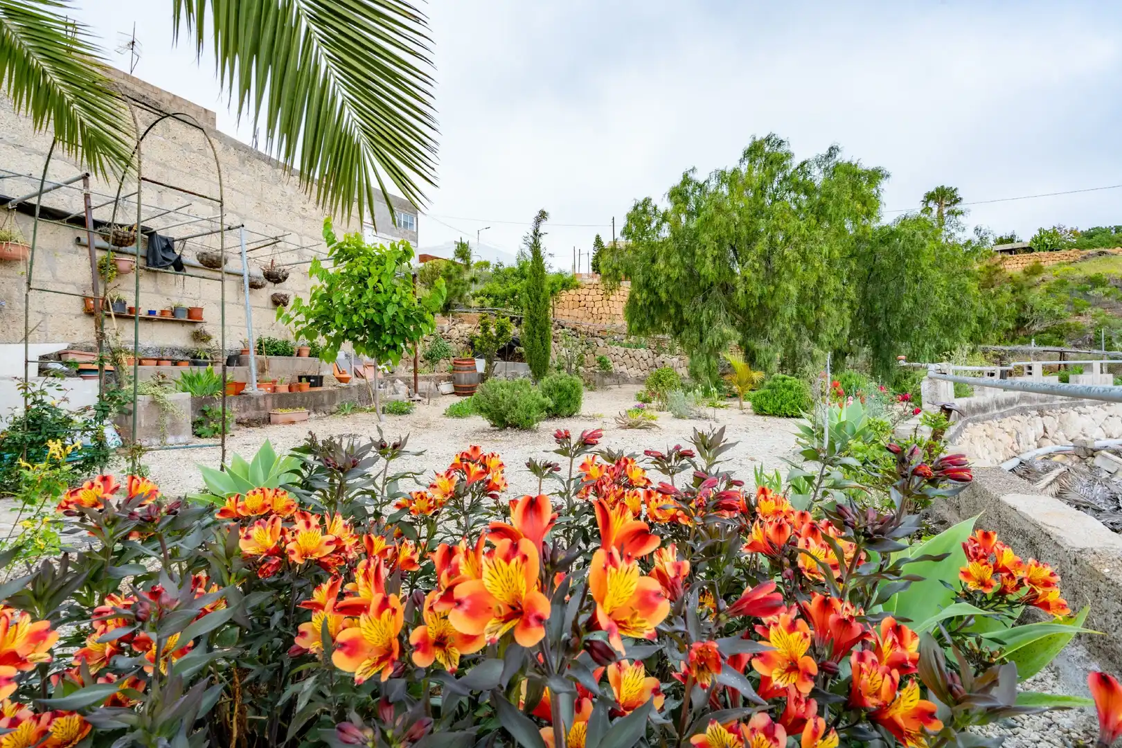 Jardín de Finca rústica en venta en Granadilla de Abona con Aire acondicionado, Jardín privado y Terraza