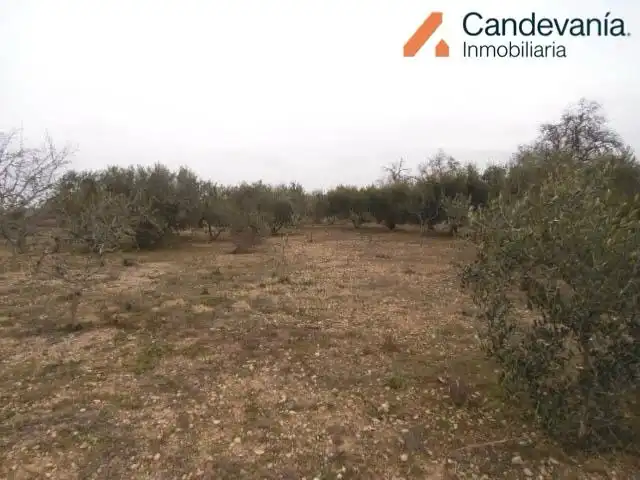 Terreno rustico in vendita a San Mateo de Gállego, imagen 4