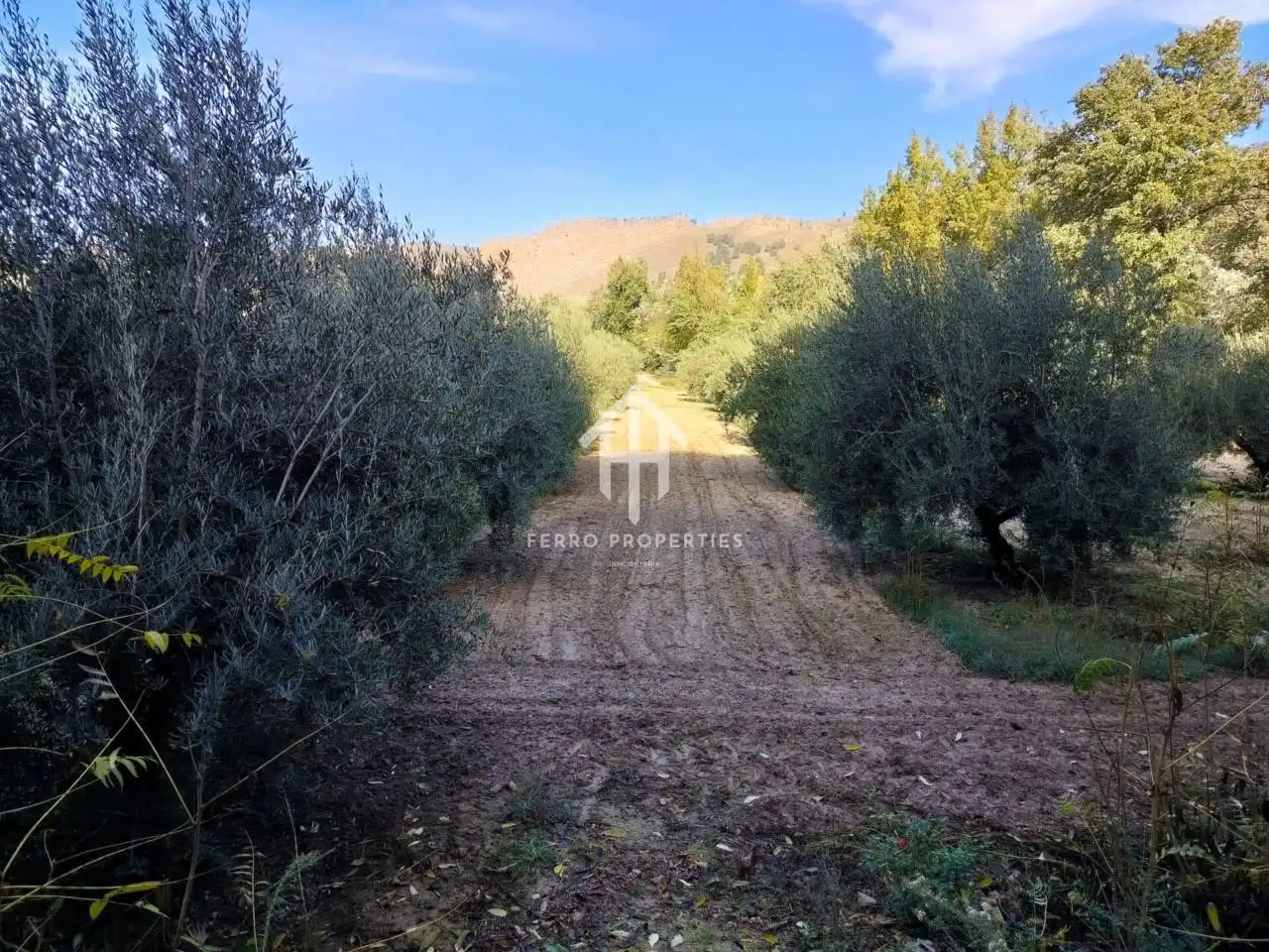 Terreni e lotti in vendita a Loja, imagen 24