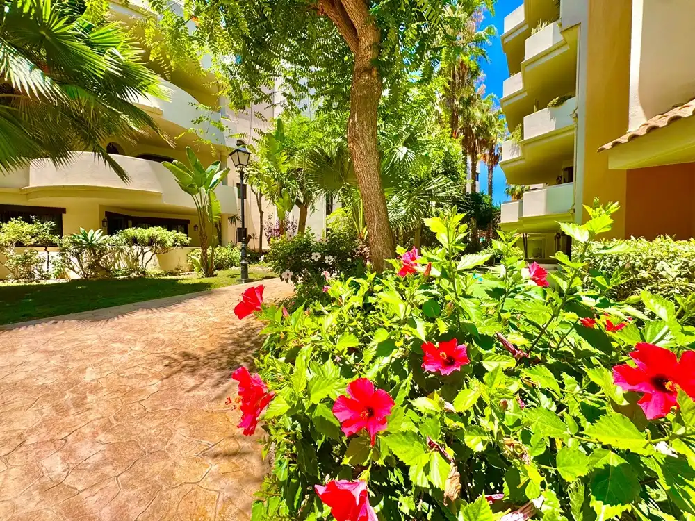 Apartamento con piscina en venta en Punta Prima, imagen 3