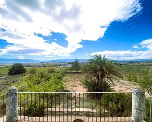 Garden of House or chalet for sale in Aielo de Malferit  with Private garden, Terrace and Storage room