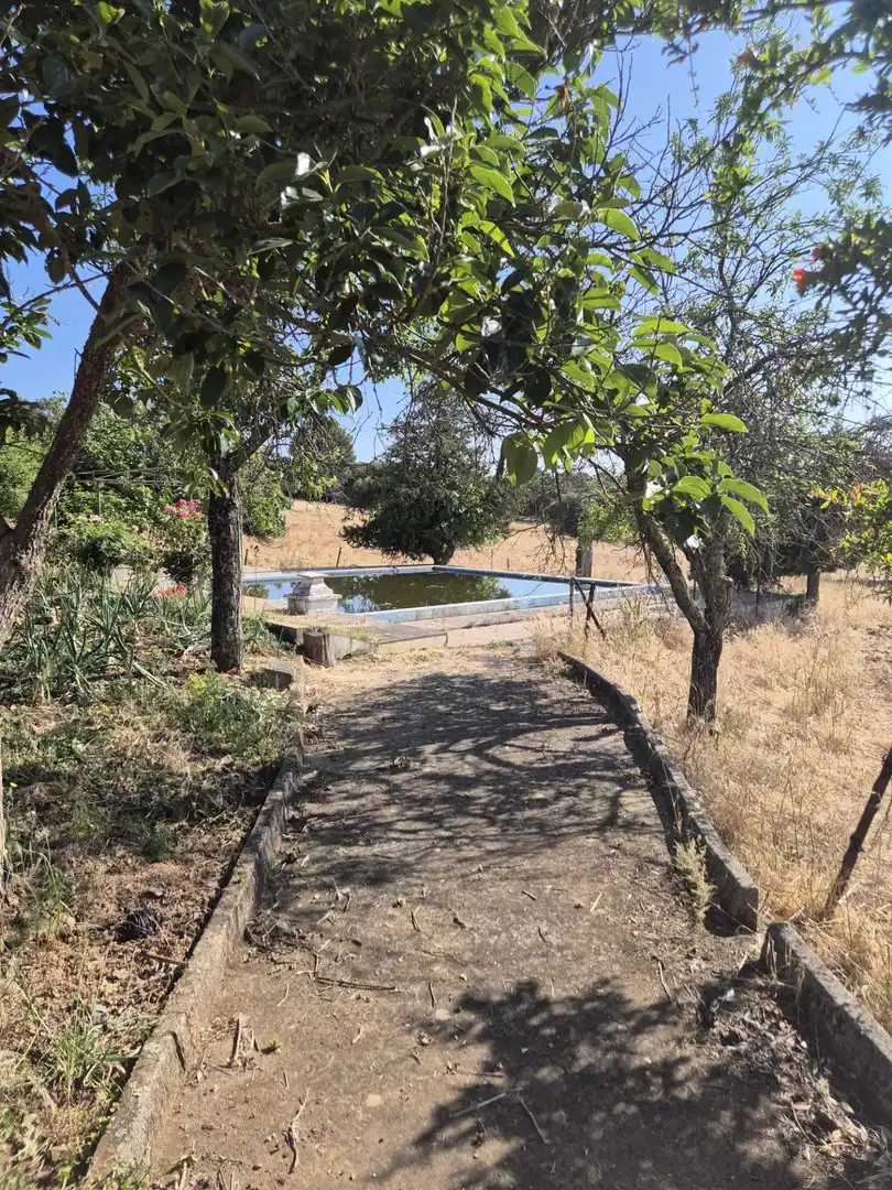 Finca rústica en venda a Fregenal de la Sierra