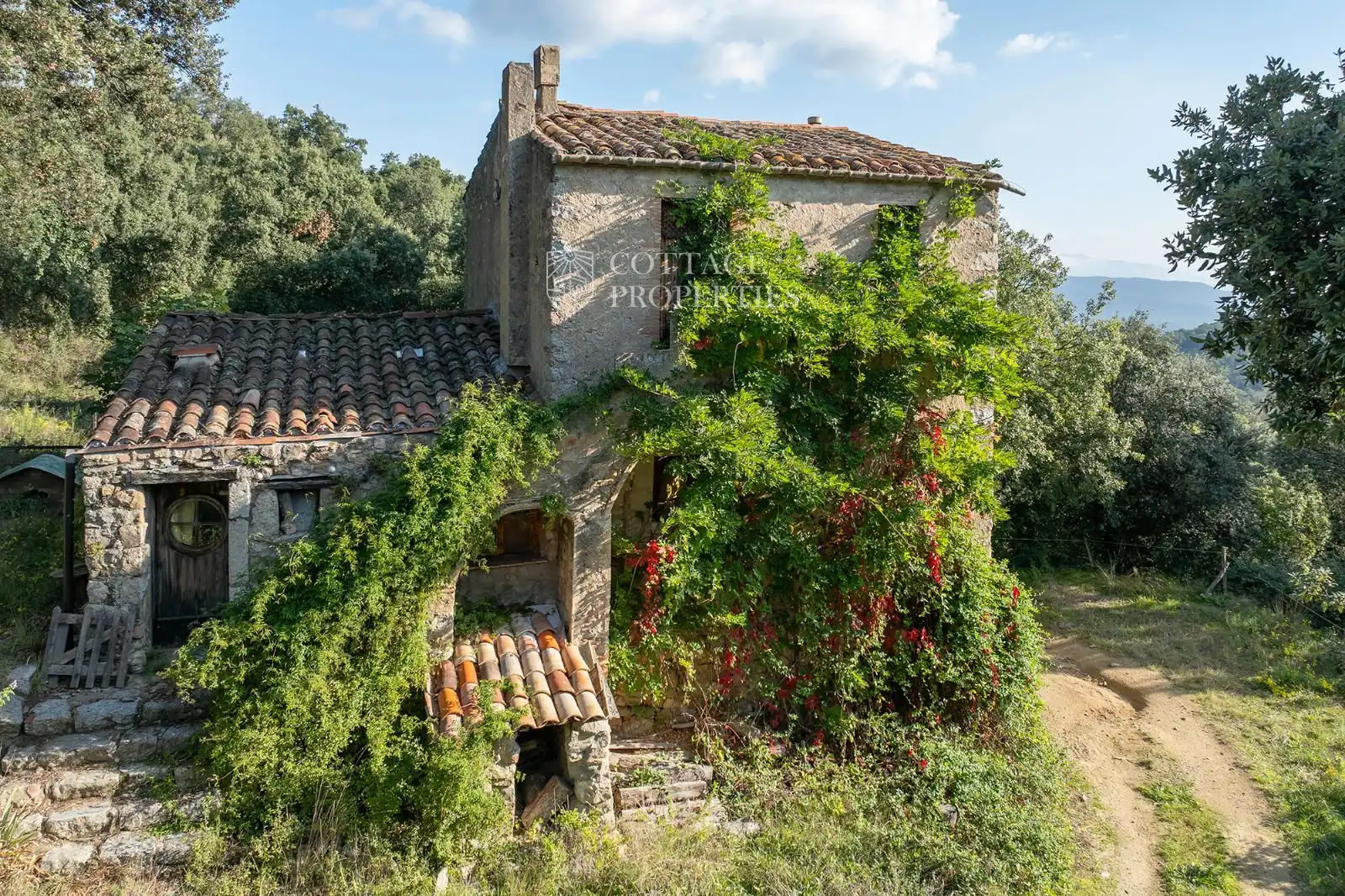 Vista exterior de Finca rústica en venta en Maçanet de Cabrenys