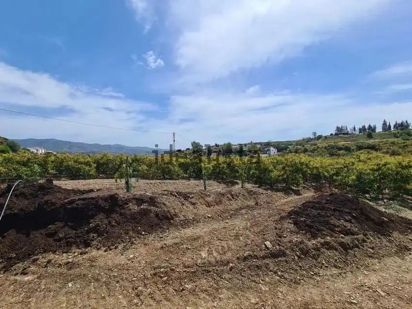 Terrain rustique à vendre à Vélez-Málaga ciudad, imagen 2