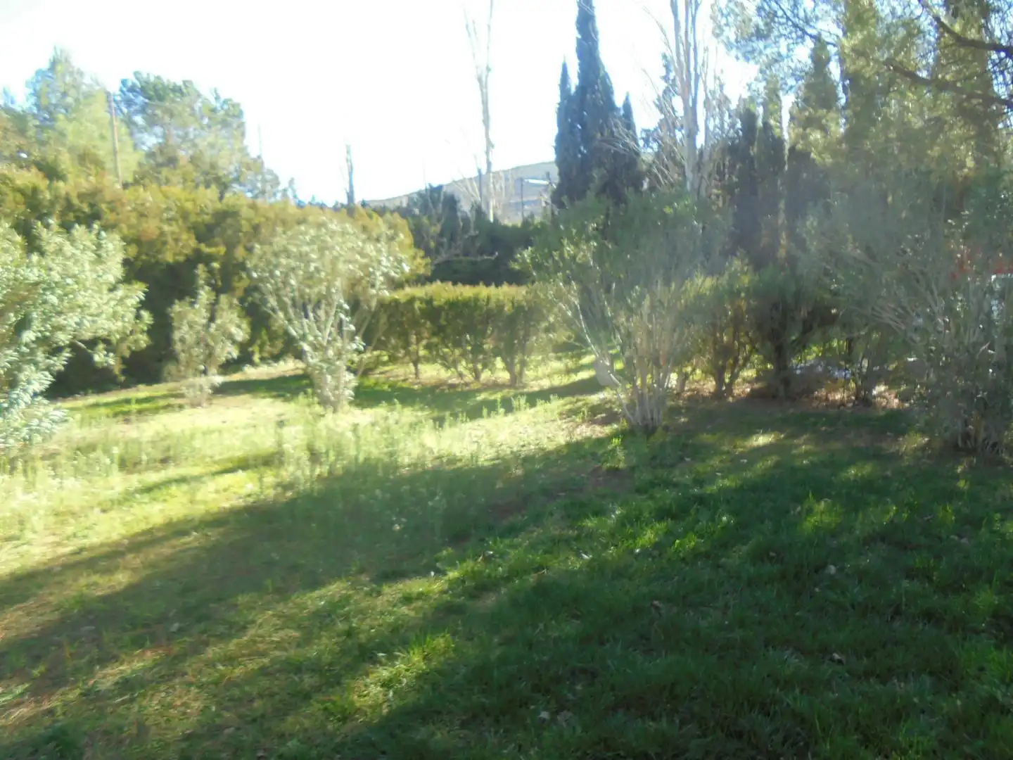 Chalet con piscina en venta en Almodóvar del Campo, imagen 3