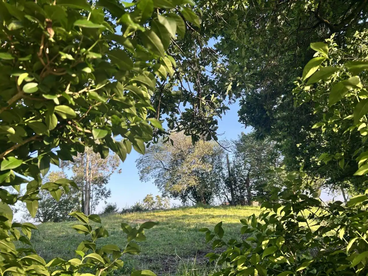 Residencial en venta en Oviedo 