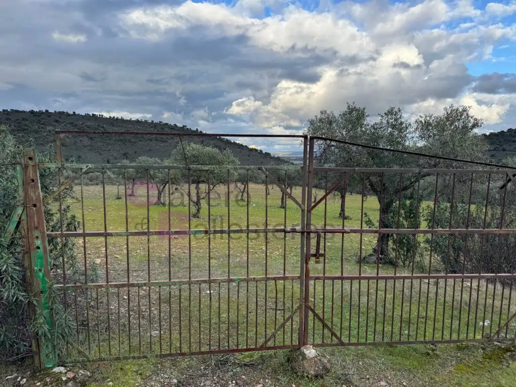 Casa o xalet en venda a Calle Cuesta de Artesanos, Valdesalor - Rincón de Ballesteros