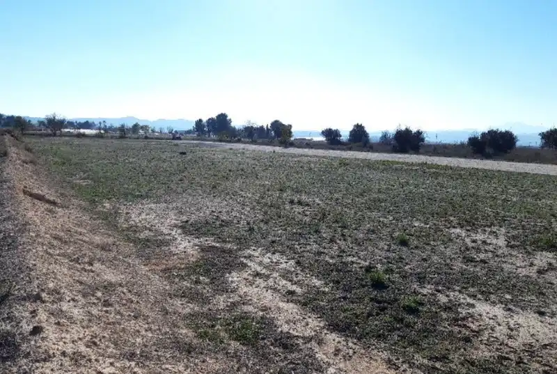 Terreno residencial en venta en ORITO, POLIGONO 11, imagen 10