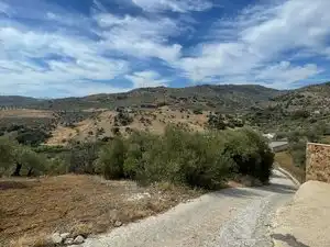 Exterior view of Land for sale in Monda