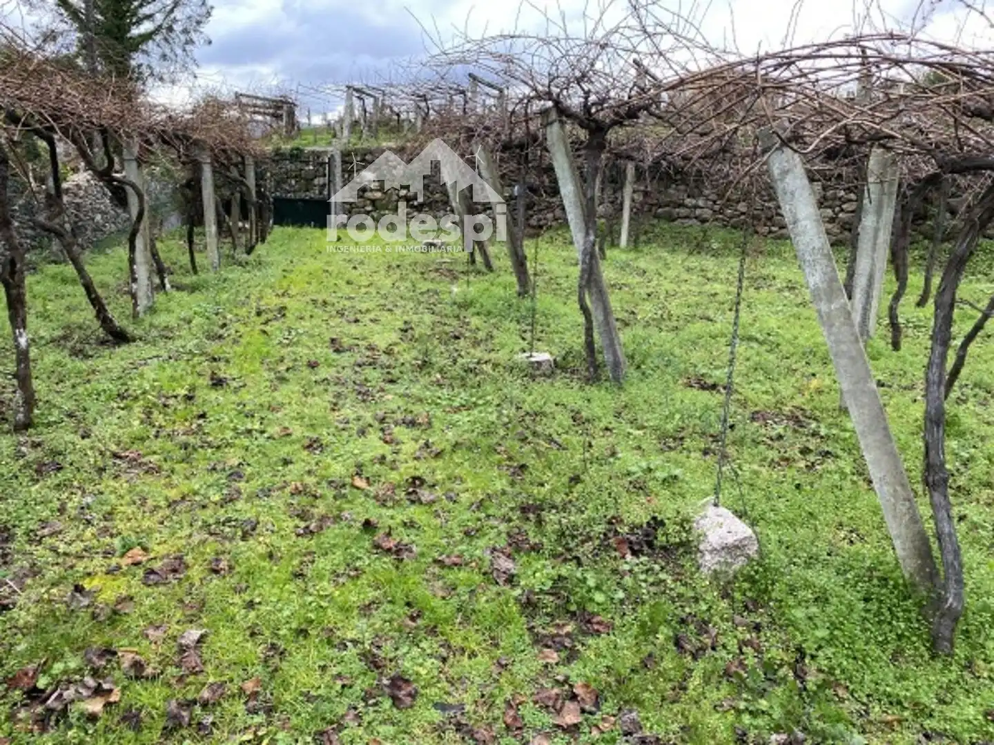 Terreny rústic en venda a A Cañiza, imagen 14