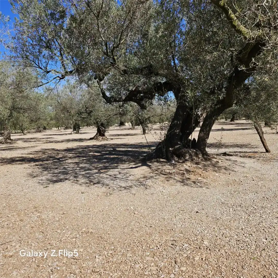 Grundstücke zum Verkauf in La Galera , Tarragona