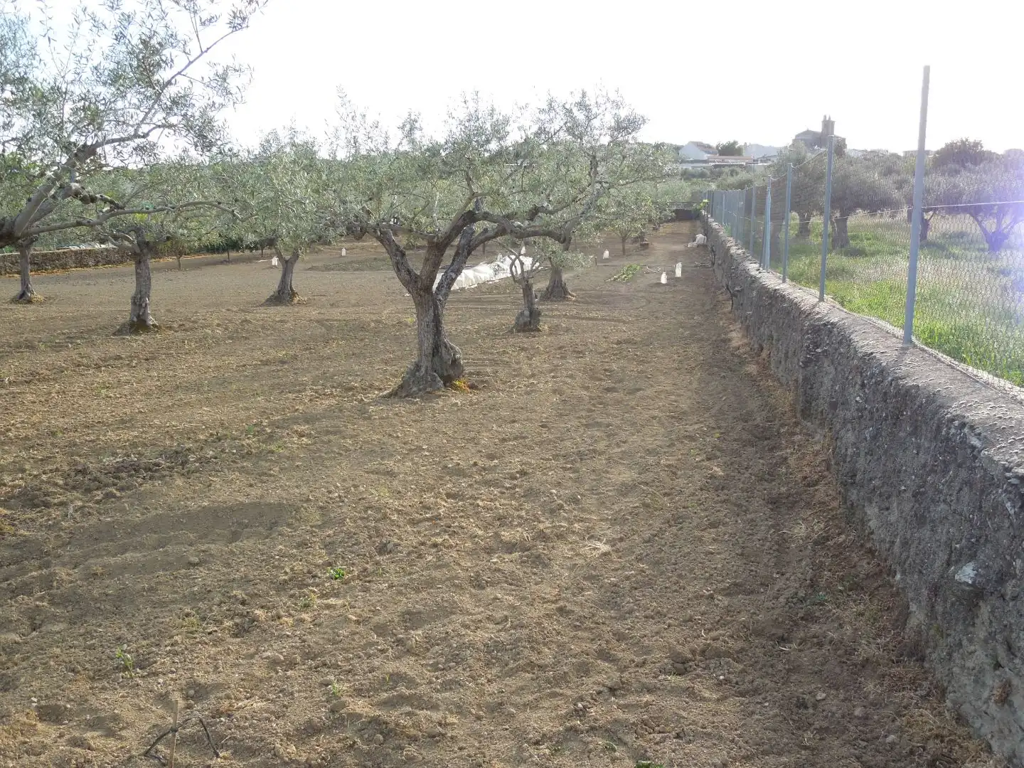 Terreno en venta en Malpartida de Plasencia