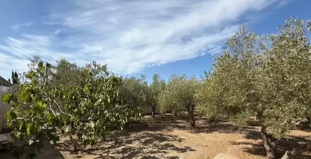 Casa o chalet en venta en Almería con Aire acondicionado, Jardín privado y Terraza