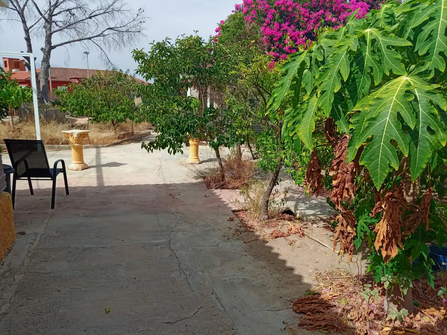 Casa o chalet en venta en Murcia con Aire acondicionado, Calefacción y Jardín privado