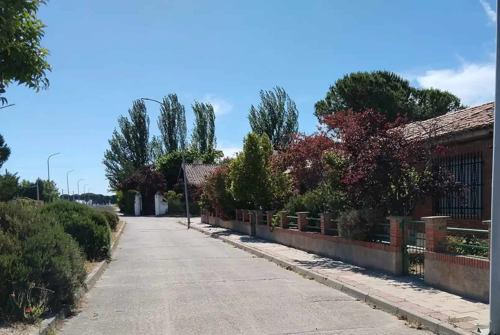 House with garden for sale in Calle Conde Vallellano, imagen 5