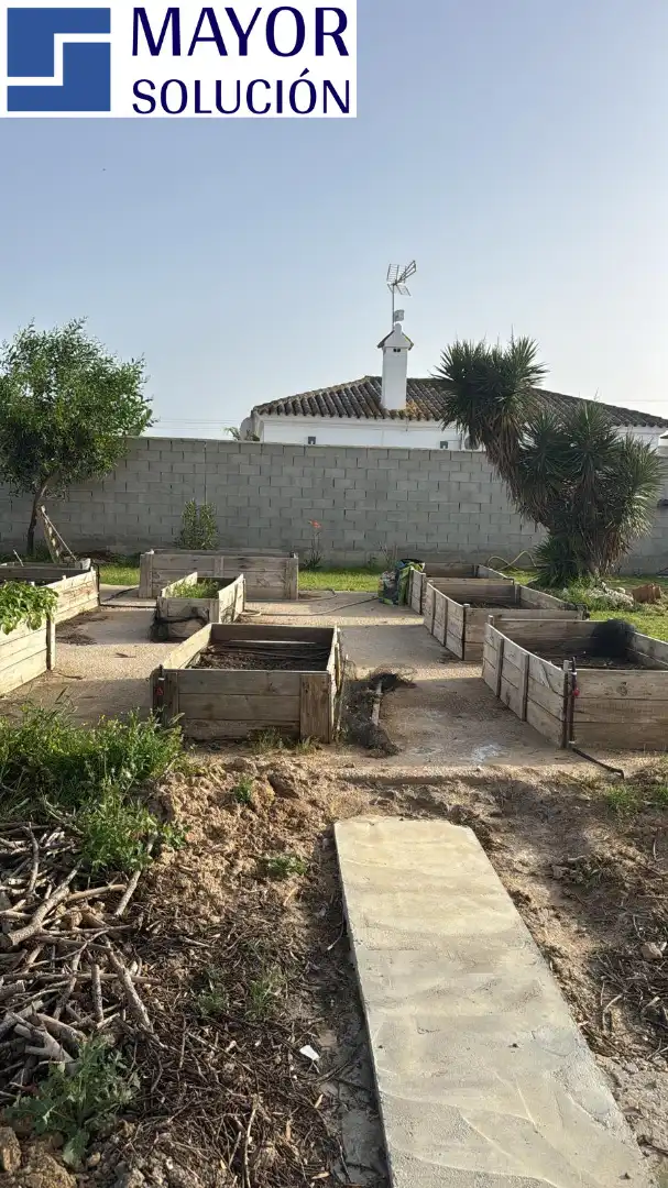 Jardín de Casa o chalet en venta en Chiclana de la Frontera con Jardín privado, Terraza y Piscina