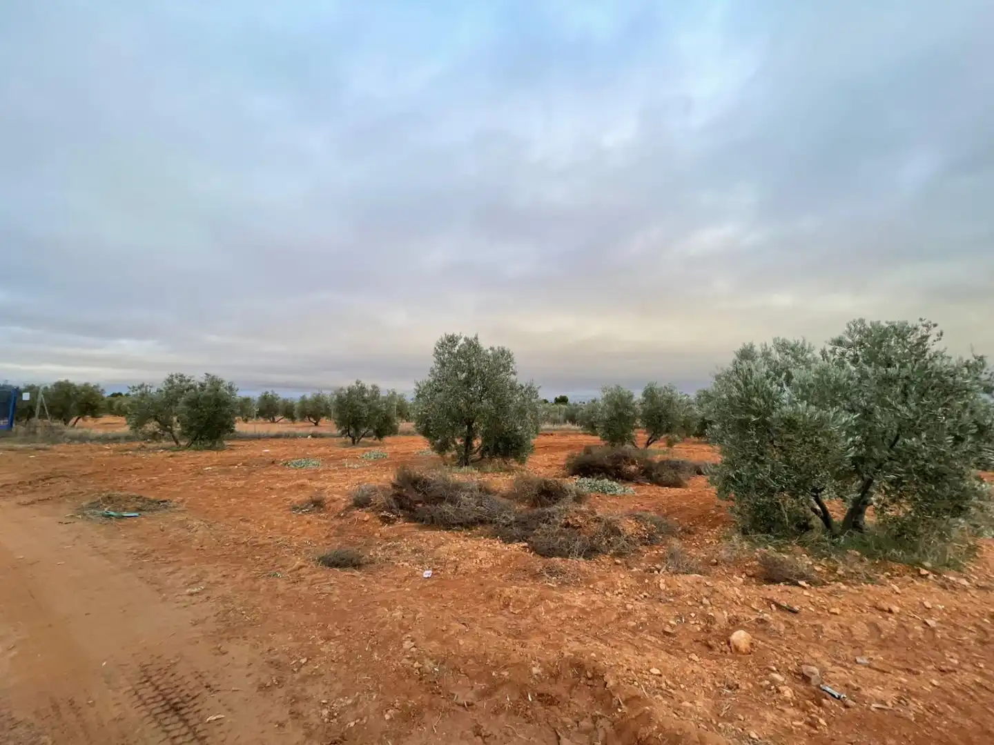 Lands and plots for sale in Valdepeñas, imagen 10