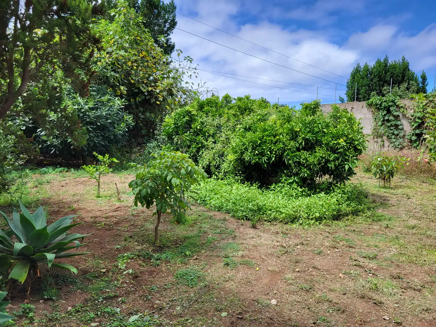 Casa o xalet en venda a Santa Bárbara - La Florida