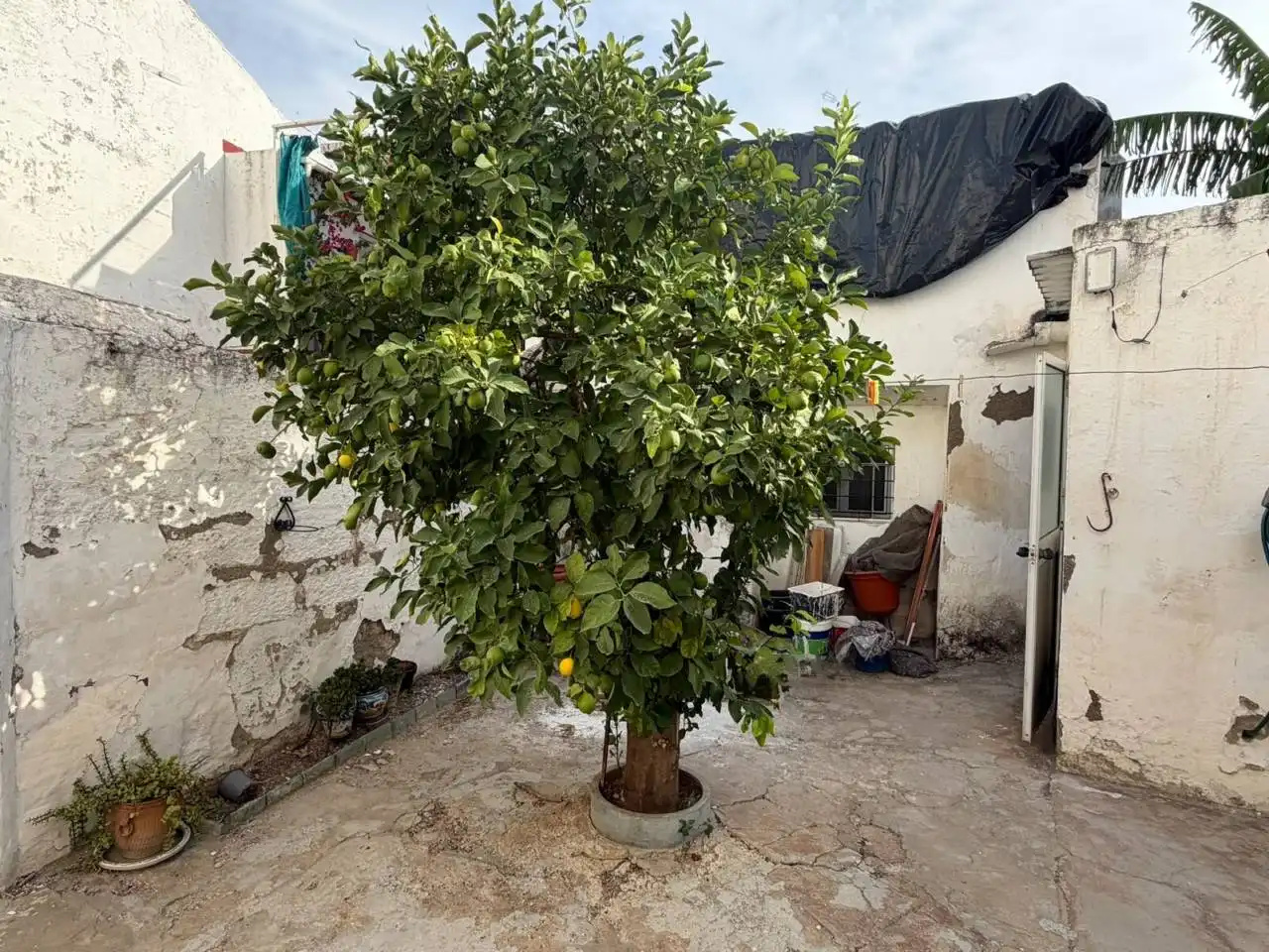 Garden of Houses for sale in Osuna, Sevilla