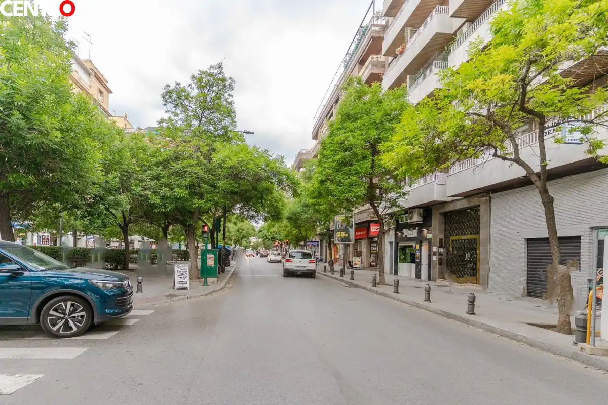 Flat with lift for sale in Calle Alhamar, imagen 45